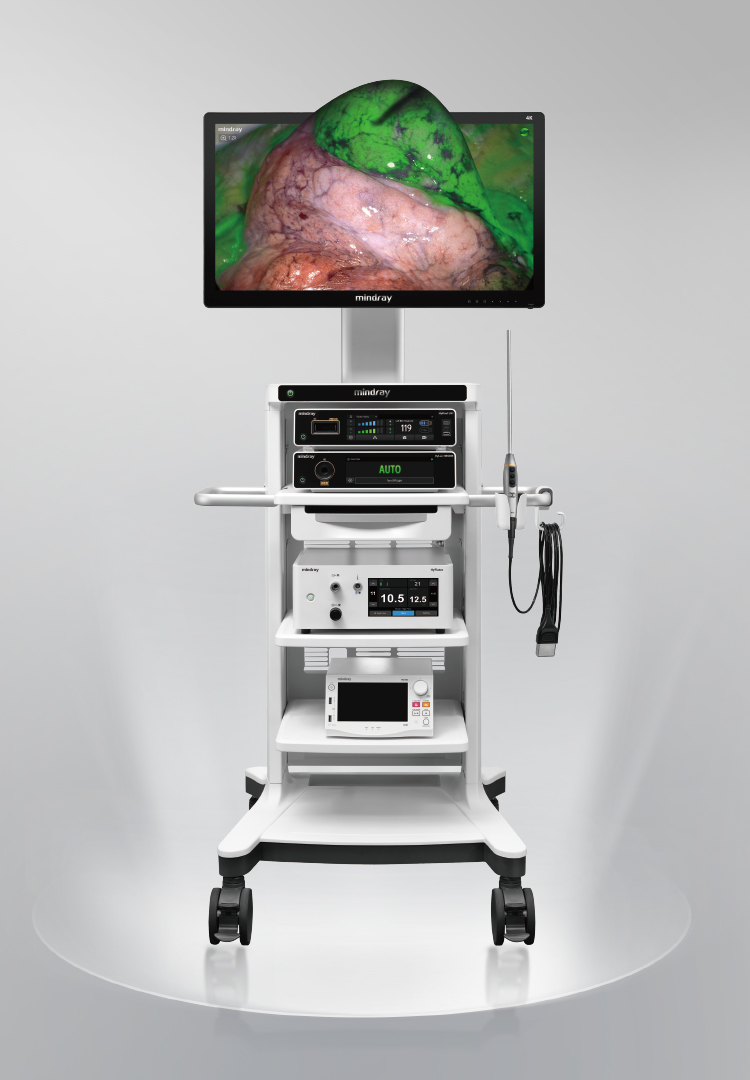 Endoscope Camera System