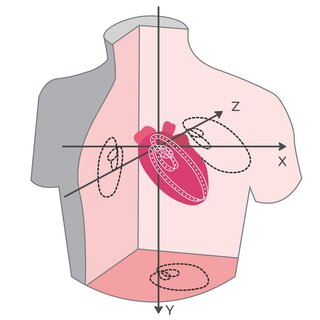 A 3D view of the electrical heart activity